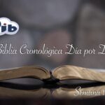 LIBRO DE LOS SALMOS (Semana 15A)
